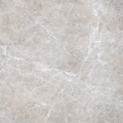 Italon ceramica Элит флор проджект Силвер Грэй 59x59
